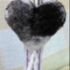 Mottled heart